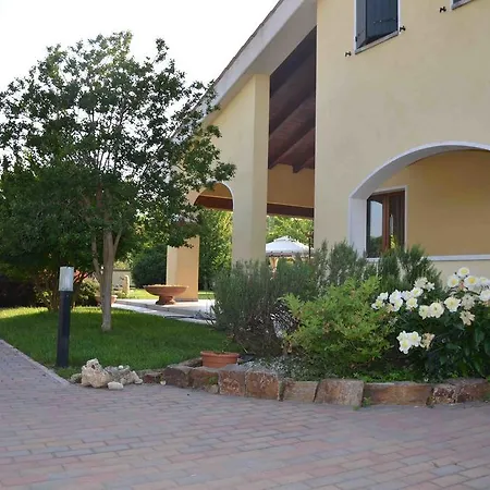 Melograno Mc 4* Rubano