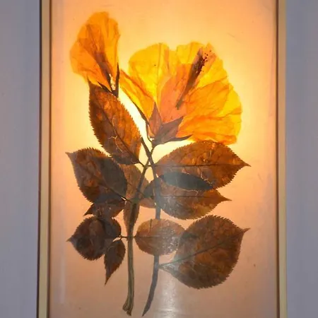 Melograno Mc Bed and breakfast Rubano