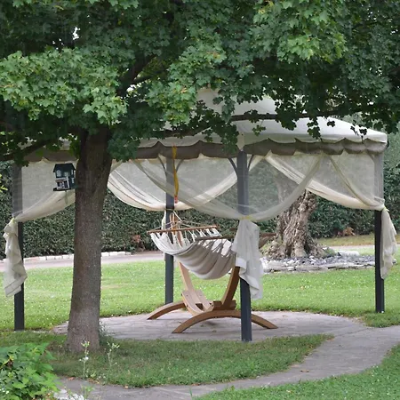 Melograno Mc 4* Rubano