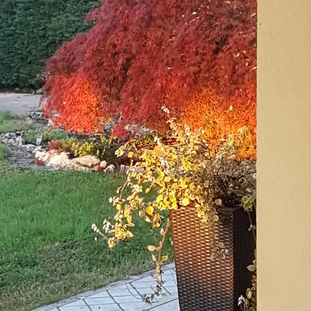 Bed and breakfast Melograno Mc