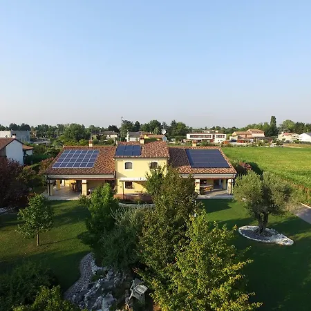 Melograno Mc 4* Rubano